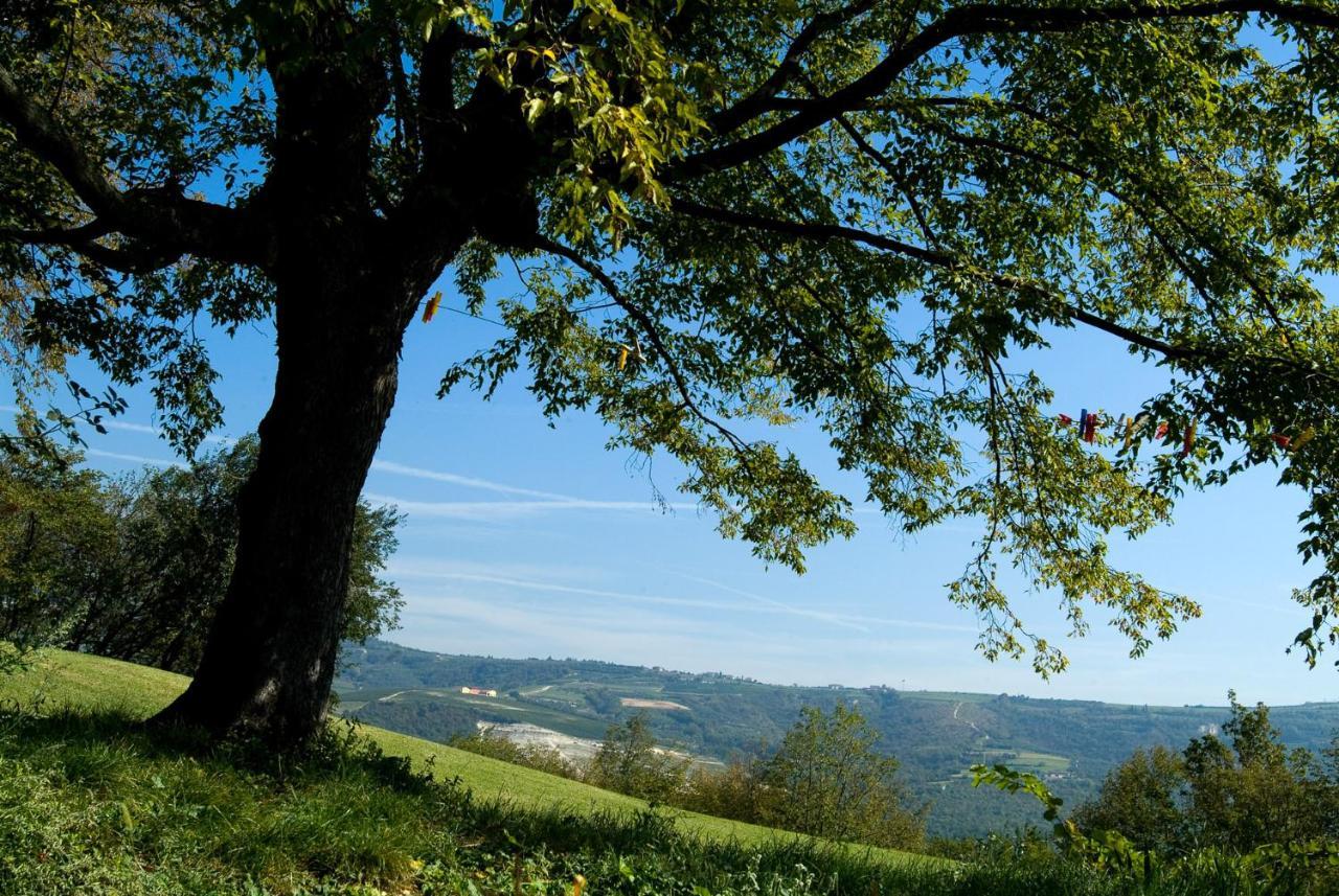 Tenuta Delo Relais ヴェローナ エクステリア 写真
